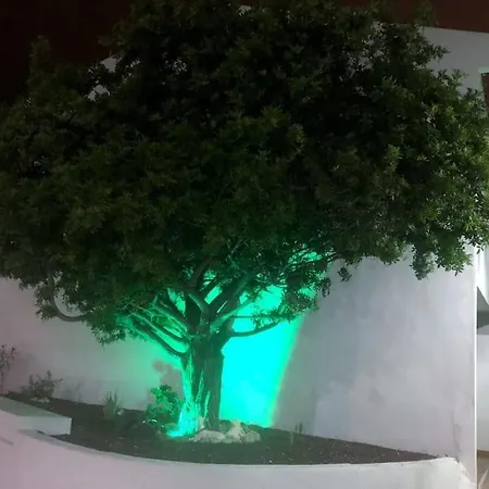 Διαμέρισμα Con Vistamar Y Piscina Climatizada En Garden *