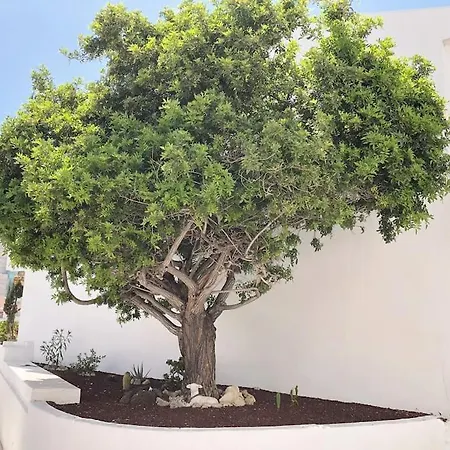 Con Vistamar Y Piscina Climatizada En Garden Apartamento
