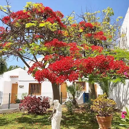 Apartamento Con Vistamar Y Piscina Climatizada En Garden