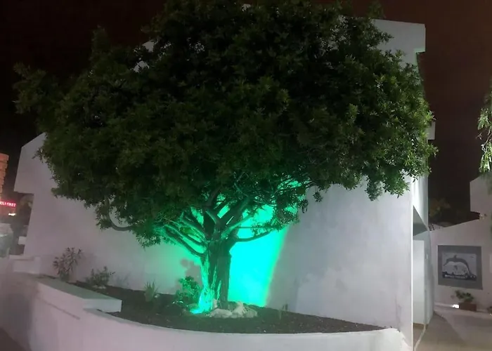 アパート Con Vistamar Y Piscina Climatizada En Garden *
