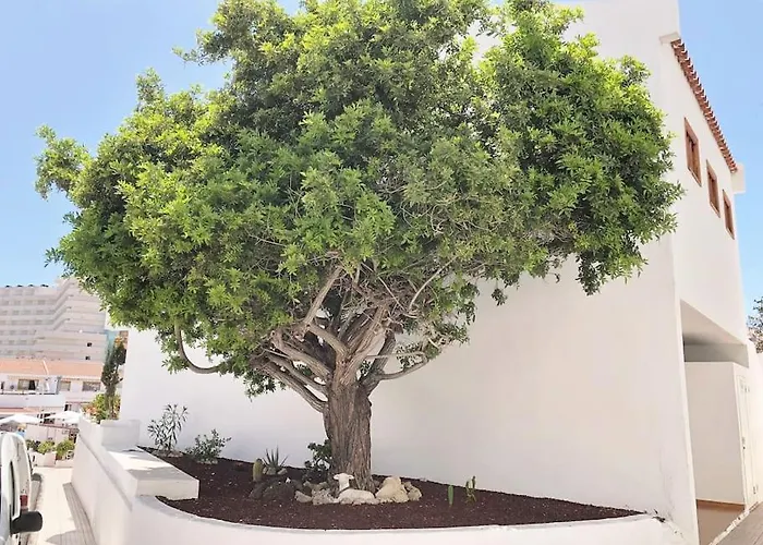Con Vistamar Y Piscina Climatizada En Garden Apartmán