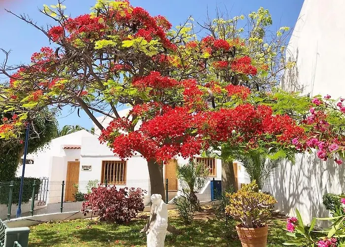 アパート Con Vistamar Y Piscina Climatizada En Garden